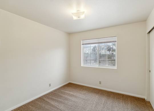 A room with a carpeted floor and a window.