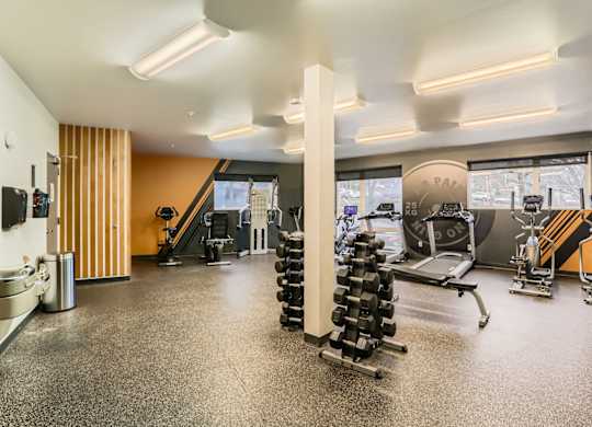 A gym with a variety of equipment including dumbbells, a treadmill, and a weight bench.