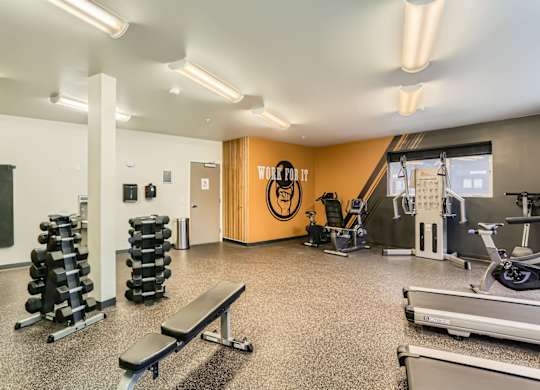 A gym with a variety of equipment including dumbbells, weight plates, a bench, and a treadmill.