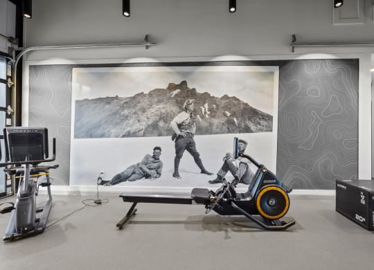 gym