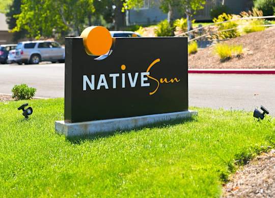 A sign that says Native Son in front of a building.