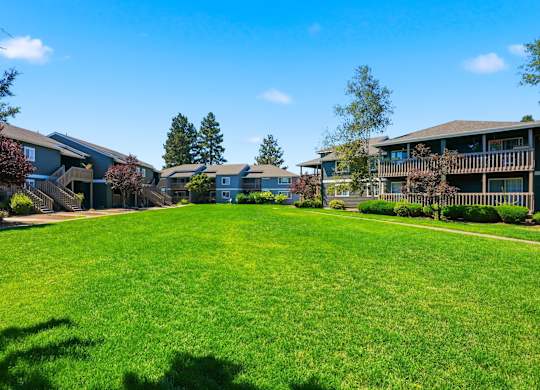 A sunny day at a grassy park with apartment buildings in the background.