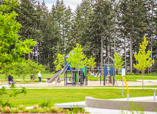 A playground with a blue slide and a yellow pole.