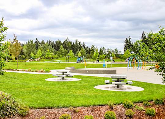 A park with picnic tables and a playground.