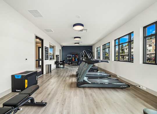 A gym with treadmills, weights, and exercise equipment.