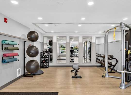 A gym with a variety of equipment including a squat rack, a bench, and a medicine ball.