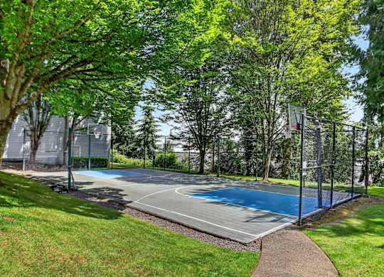 A basketball court surrounded by green trees and grass.