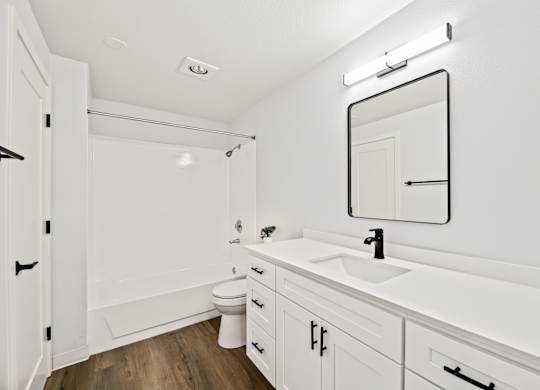 a bathroom with a sink and a mirror and a toilet