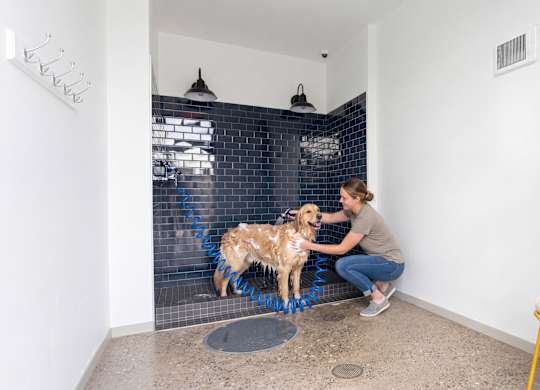 A woman is brushing a dog in a bathroom.