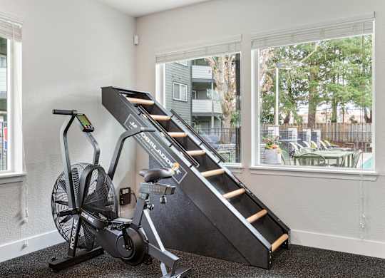 A room with a treadmill and a stair climber.