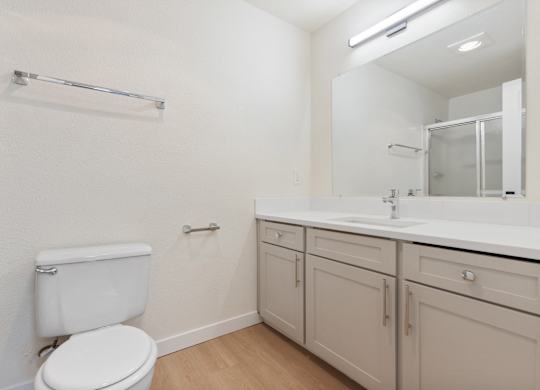 A white toilet sits in a small bathroom with a sink and mirror.
