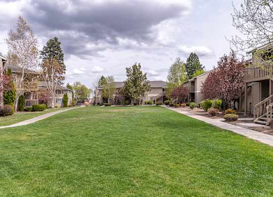 A grassy field with a row of houses in the background.