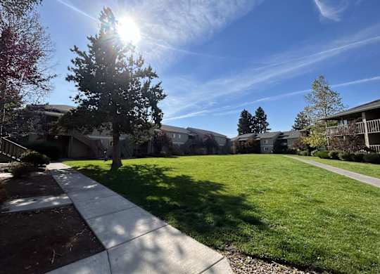 A sunny day in a residential area with houses and green lawns.