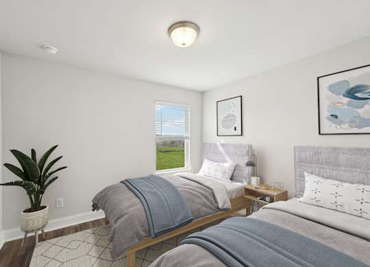 A bedroom with two beds and a potted plant.