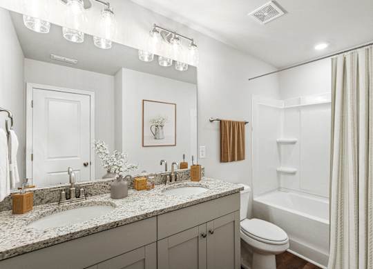 a bathroom with a sink and a toilet and a shower