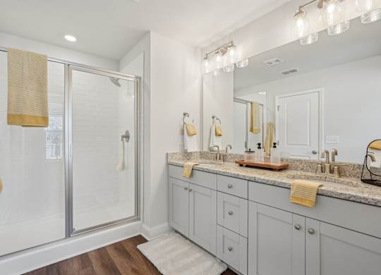 Primary bathroom with double vanity, and walk-in shower.