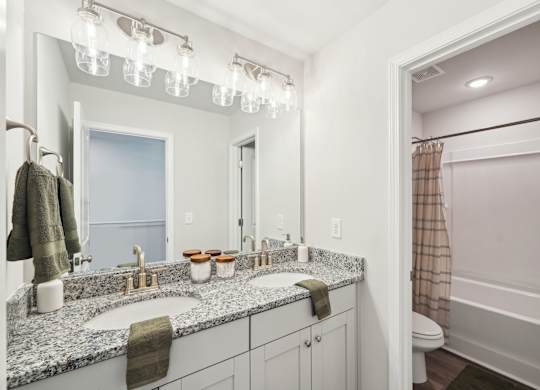 A bathroom with a double sink vanity and a large mirror above it.