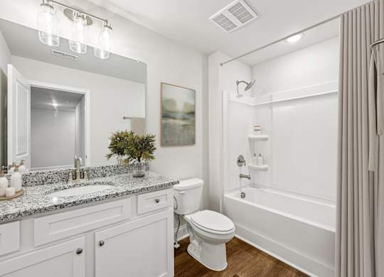 Bathroom including single vanity with a tub and shower combo..