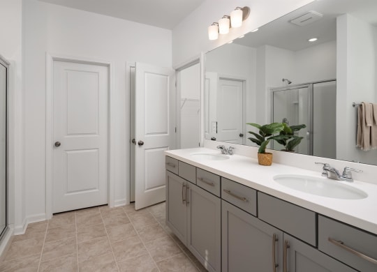 a bathroom with a sink and a mirror and a shower