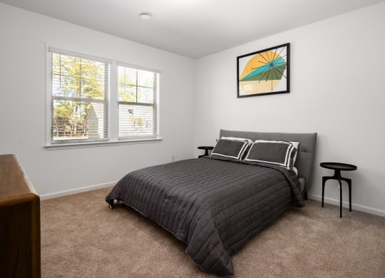 a bedroom with a bed and two windows