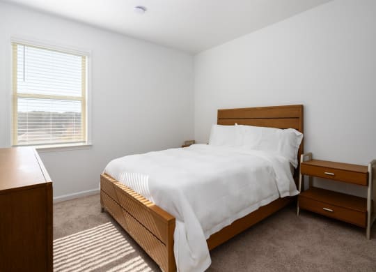 a bedroom with a bed and a dresser and a window