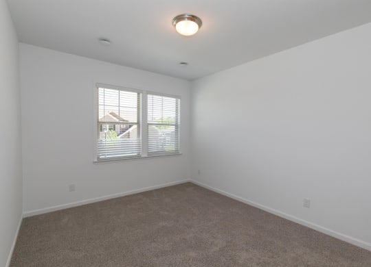 an empty living room with carpet and a window