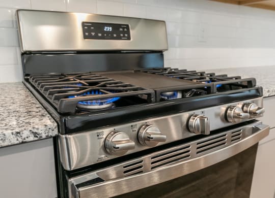 a kitchen stove with two ovens and a granite counter top