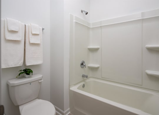 a white bathroom with a toilet and a bath tub