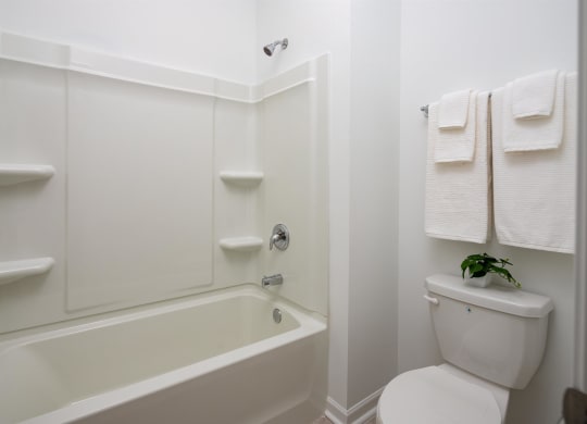 a white bathroom with a toilet and a bath tub