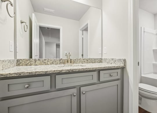 a bathroom with a sink and a toilet and a mirror