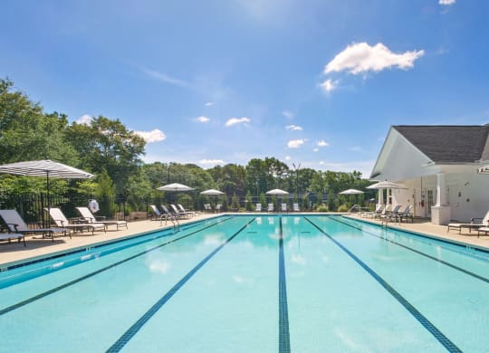 the swimming pool at the resort at governors residence