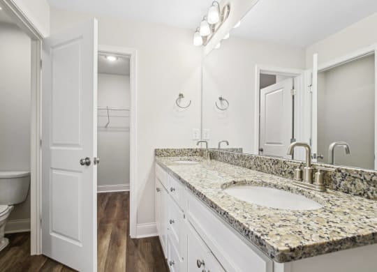 a bathroom with a sink and a mirror and a toilet