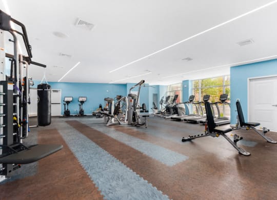 station row fitness center with benches, machines, cardio equipment