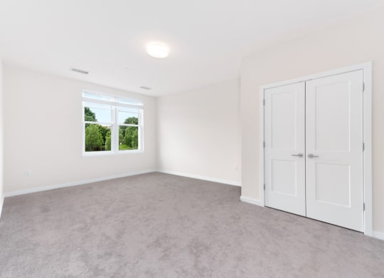 Carpet and closet of bedroom