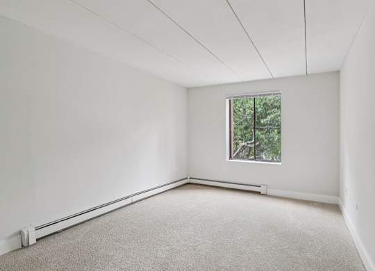 A room with a window and carpeted floor.