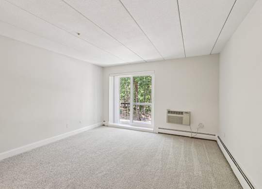 A room with a carpeted floor and a window.
