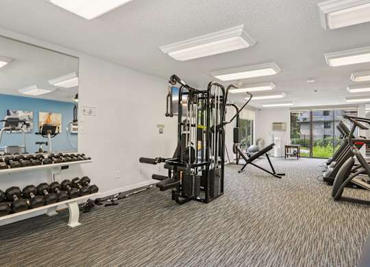 A gym with a variety of equipment including dumbbells, weight machines, and a bench press.
