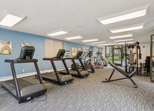 A gym with treadmills and other exercise equipment.