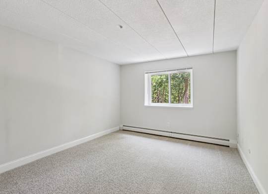 A room with a window and carpeted floor.