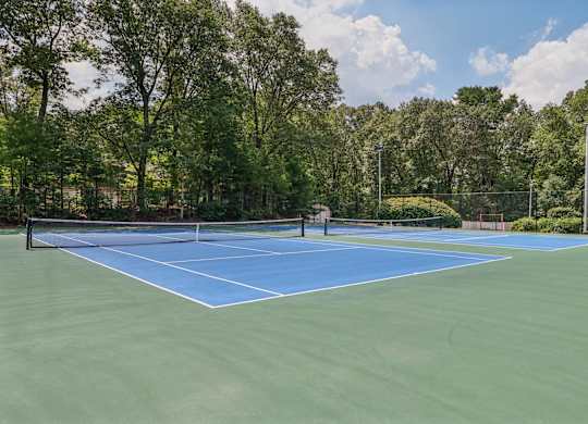 A tennis court surrounded by trees and a fence.