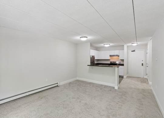 A white room with a carpeted floor and a counter in the background.
