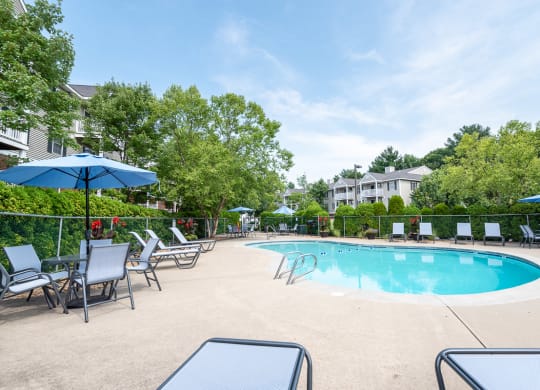 pool deck and folliage