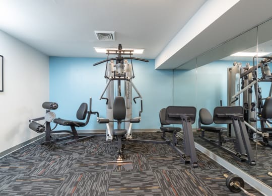 gym cable machine weights