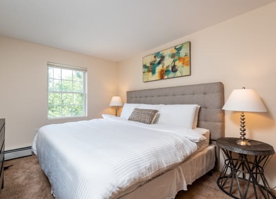 bedroom with plush carpeting