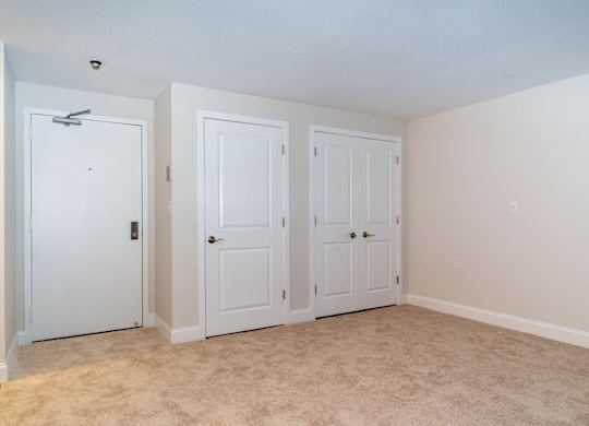 a bedroom with three closets and a carpeted floor