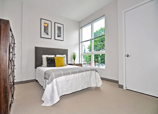 One Mansfield Bedroom with Plush Carpeting and Large Windows