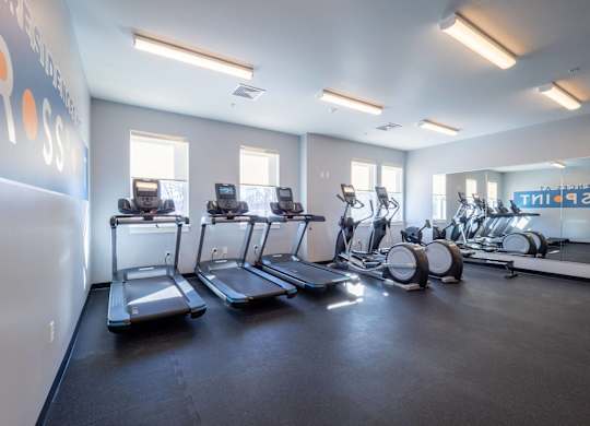 A tranquil yoga and exercise studio with natural light and fitness equipment.