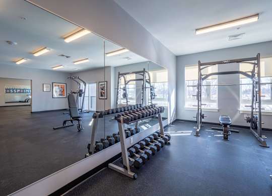A well-appointed fitness center featuring free weights and strength training equipment.