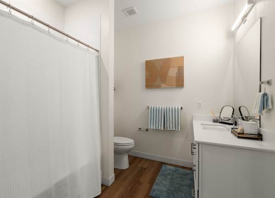 A bathroom with a toilet, sink, and shower curtain.
