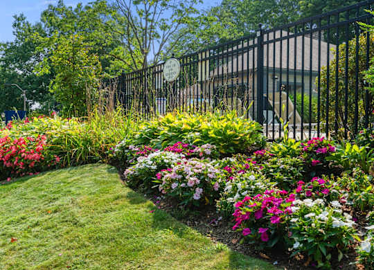 A black fence surrounds a garden with a variety of flowers.